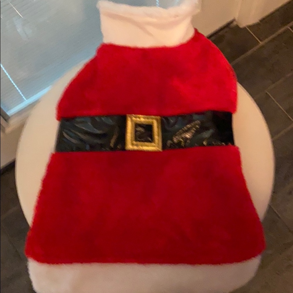 Doggy Santa suit